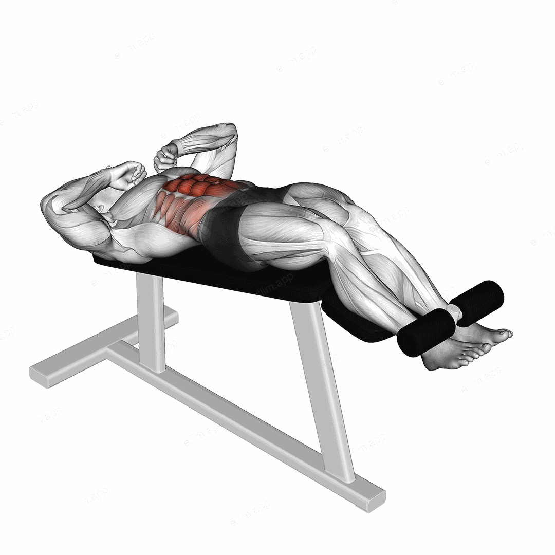 Negative Crunch exercise targeting Waist and Rectus Abdominis