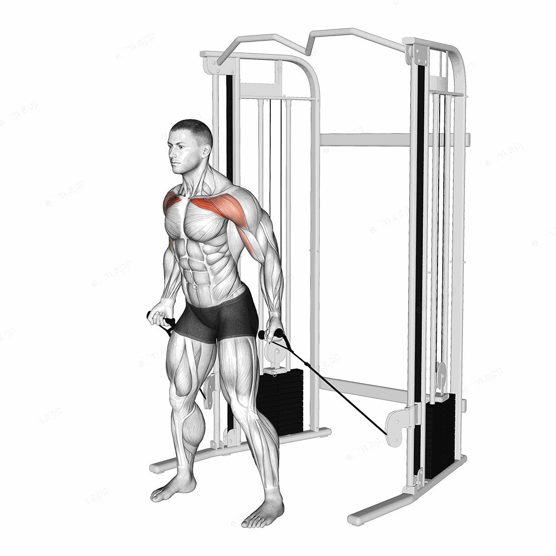 Cable Standing Alternate Low Fly exercise targeting Chest