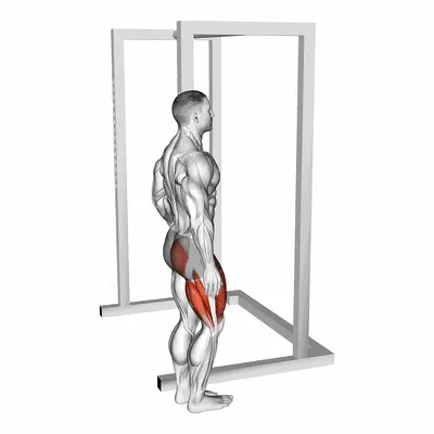 Standing Single Leg High Knee To Butt Kick With Support exercise targeting Hips