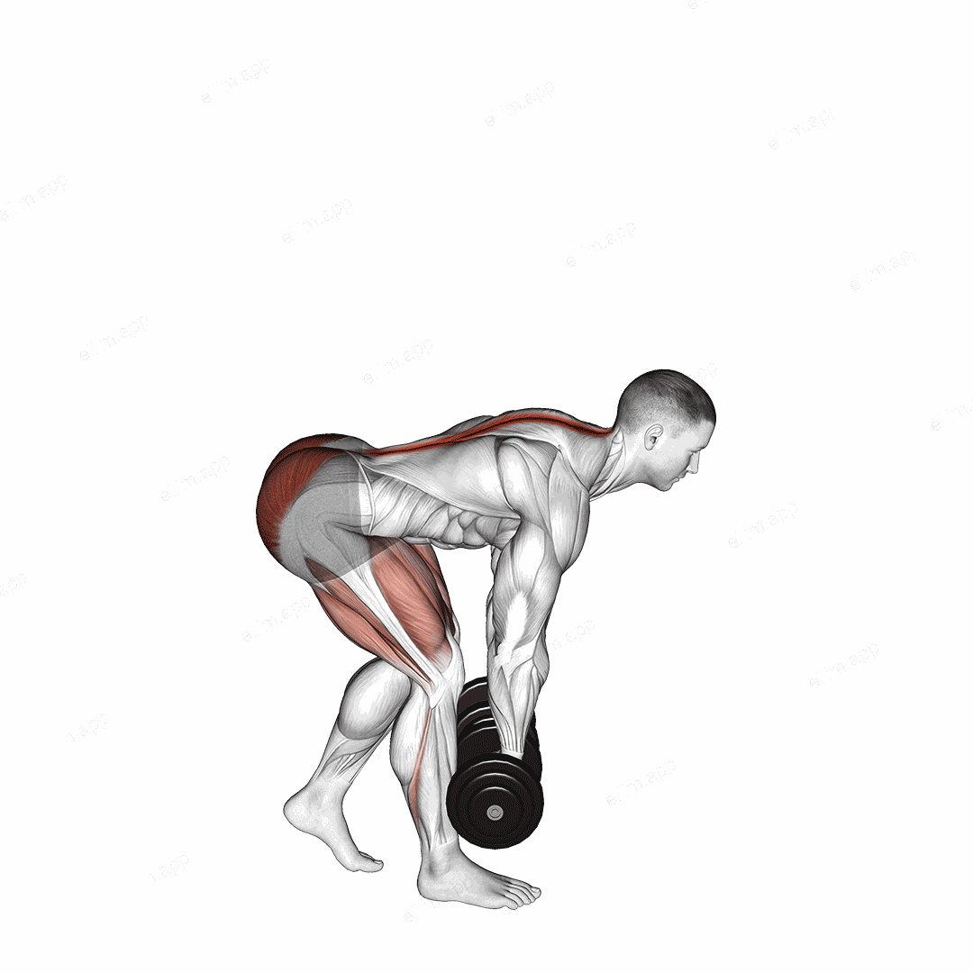 Dumbbell Staggered Stance Romanian Deadlift exercise targeting Hips