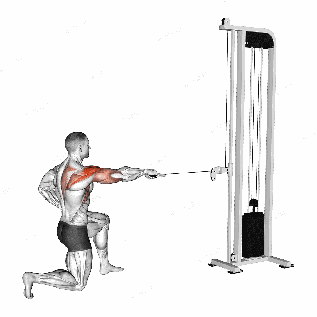 Cable Half Kneeling External Rotation Press exercise targeting Shoulders