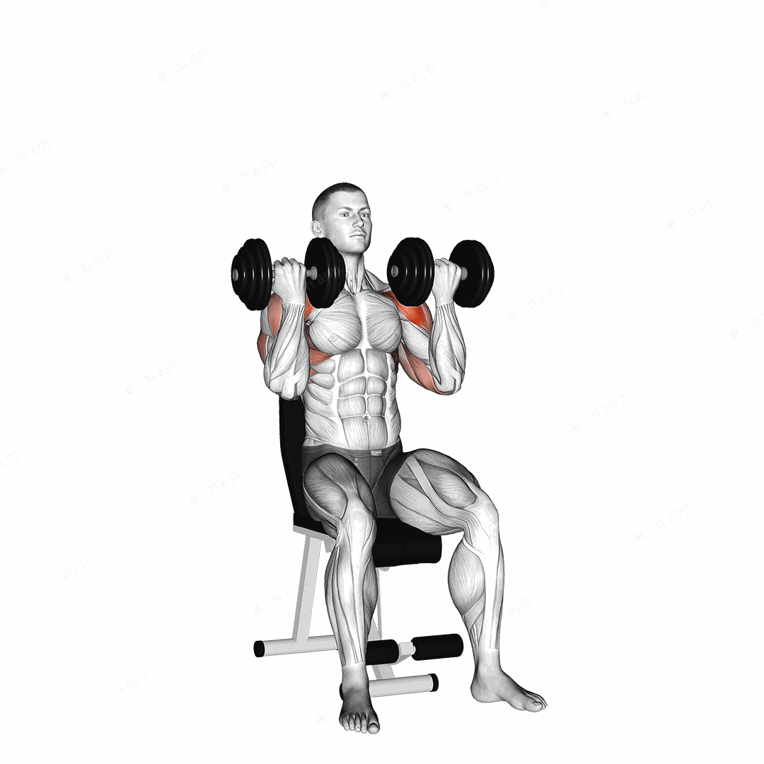 Dumbbell Arnold Press exercise targeting Shoulders and Deltoid Anterior