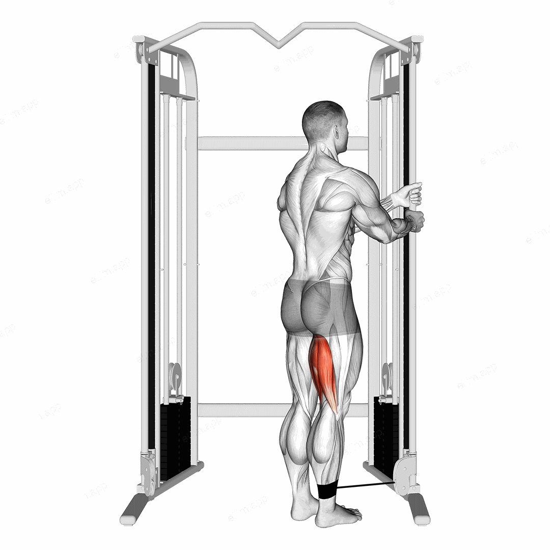 Cable Standing Leg Curl exercise targeting Thighs