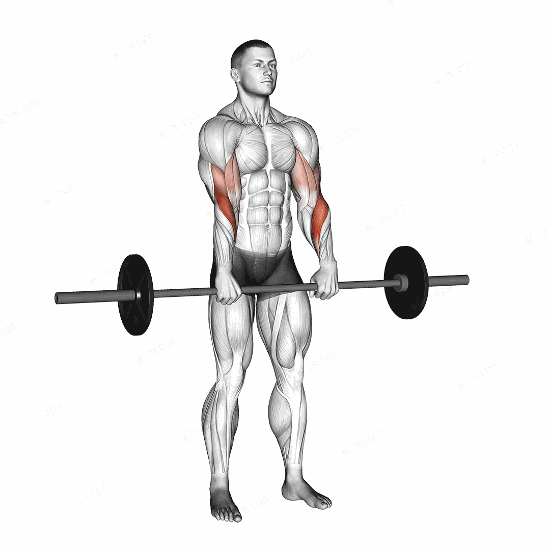 Barbell Standing Reverse Grip Curl exercise targeting Forearms and Brachioradialis