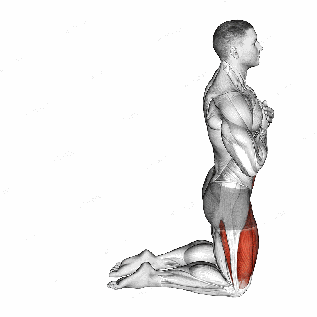 Body Extension exercise targeting Hips and Thighs