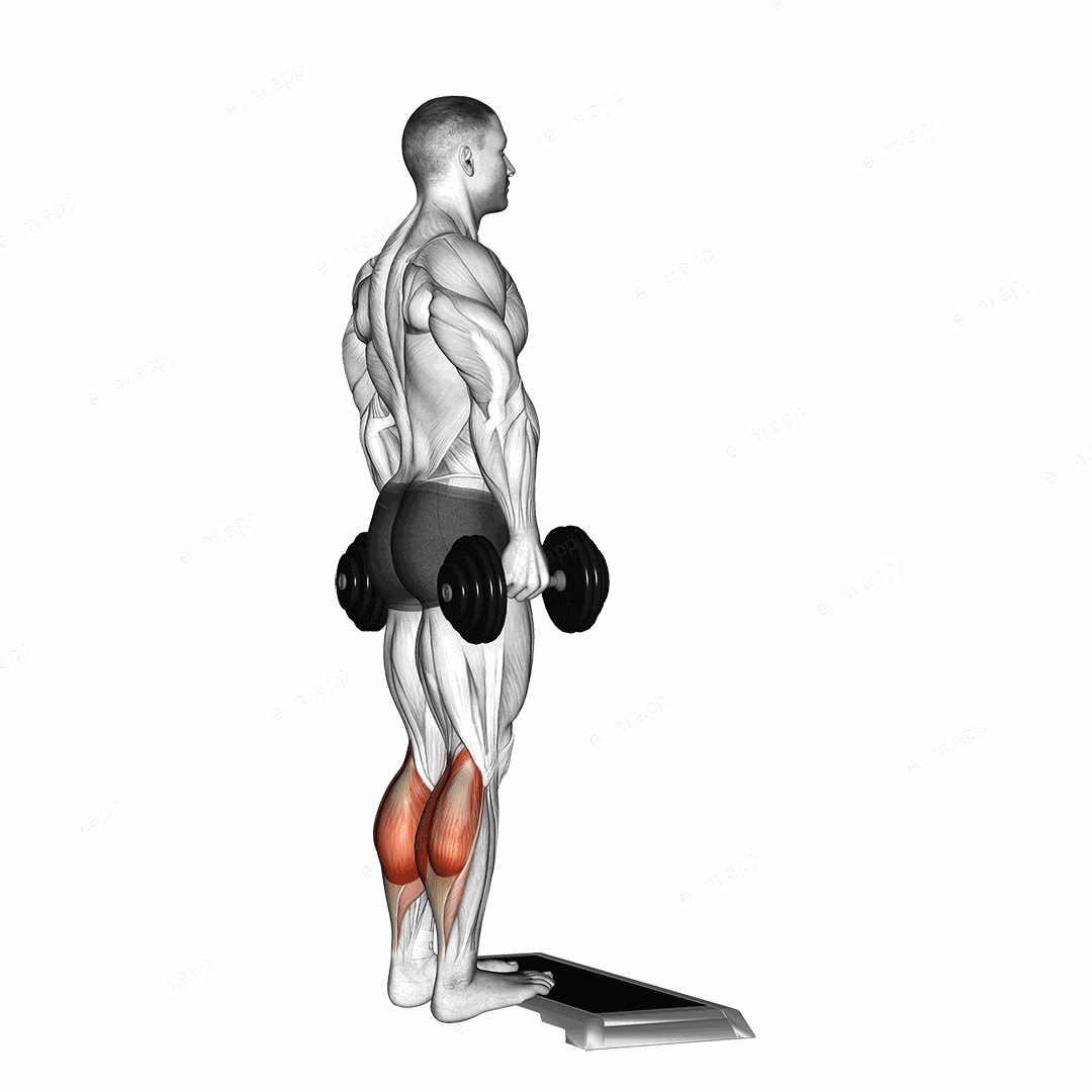 Dumbbell Standing Calf Raise exercise targeting Calves and Gastrocnemius