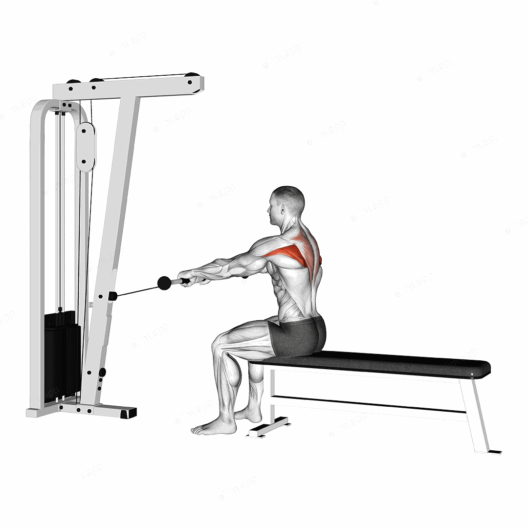 Cable Seated Horizontal Shrug exercise targeting Back
