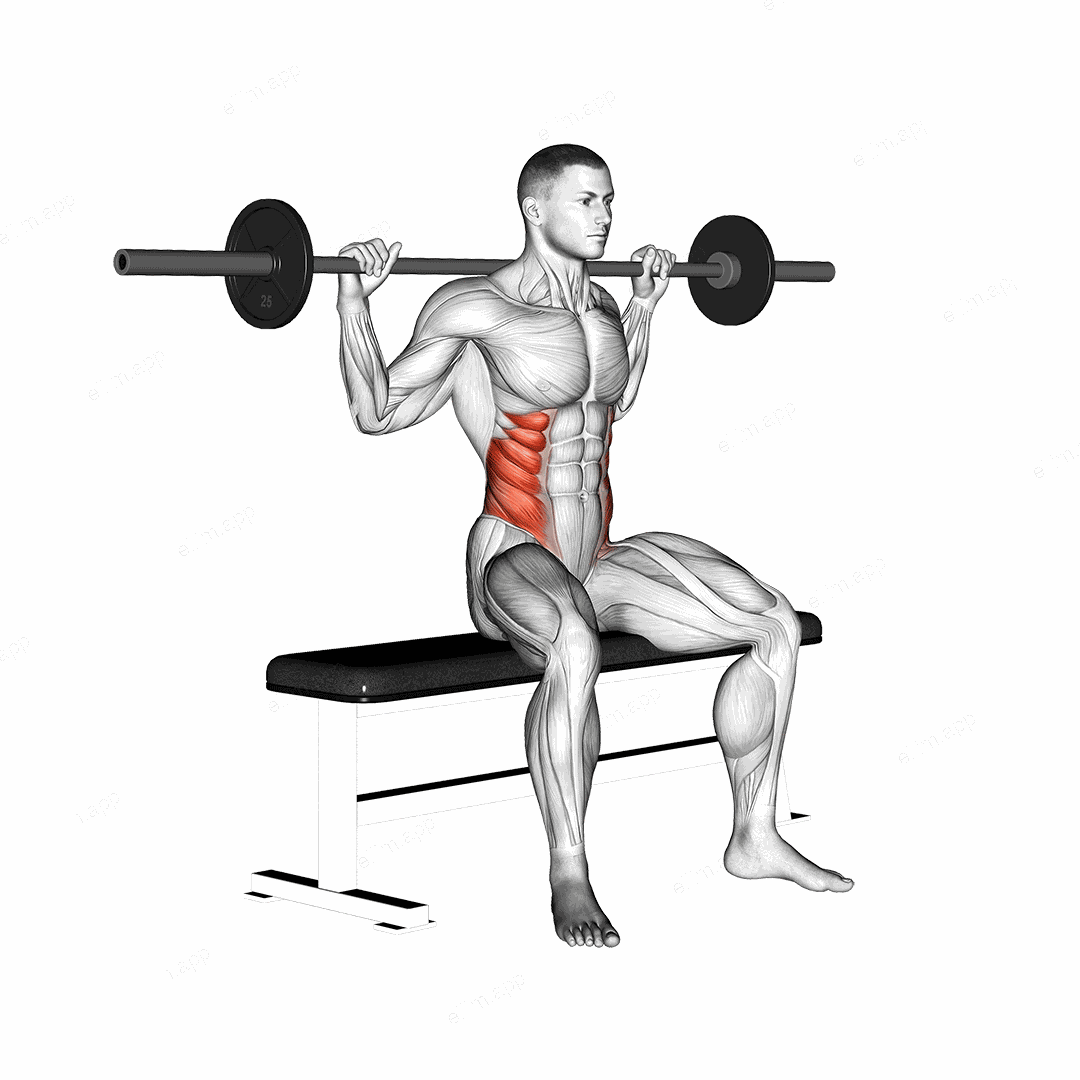 Barbell Seated Twist exercise targeting Waist and Obliques