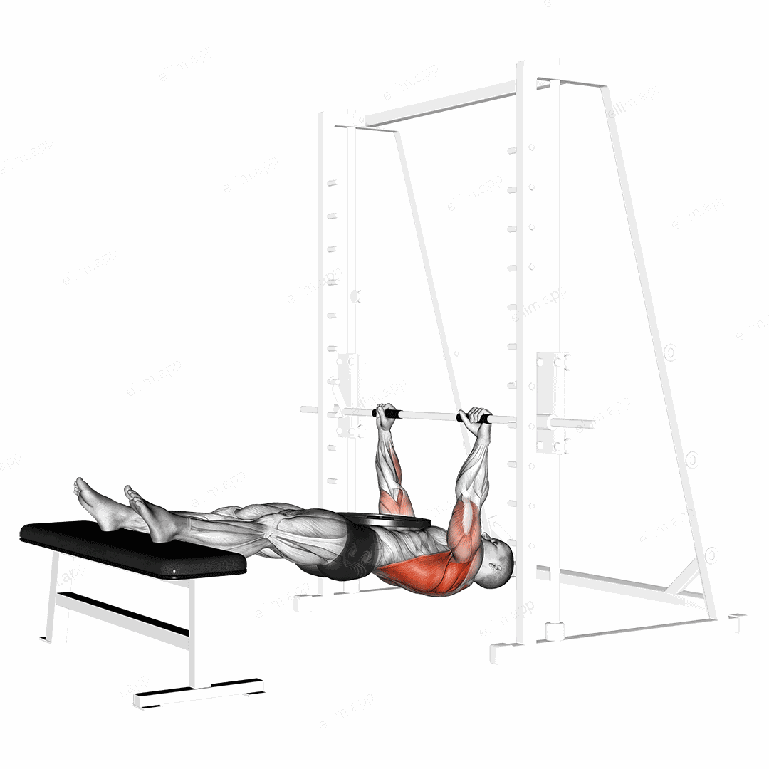 Weighted Inverted Row exercise targeting Back and Infraspinatus