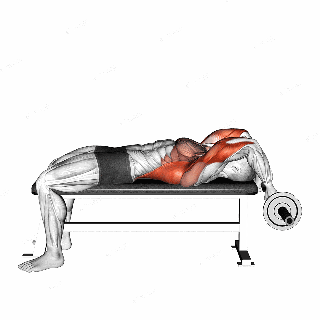 EZ Bar California Skullcrusher exercise targeting Upper Arms