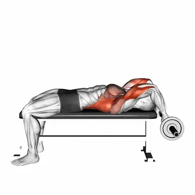 EZ Bar California Skullcrusher exercise targeting Upper Arms