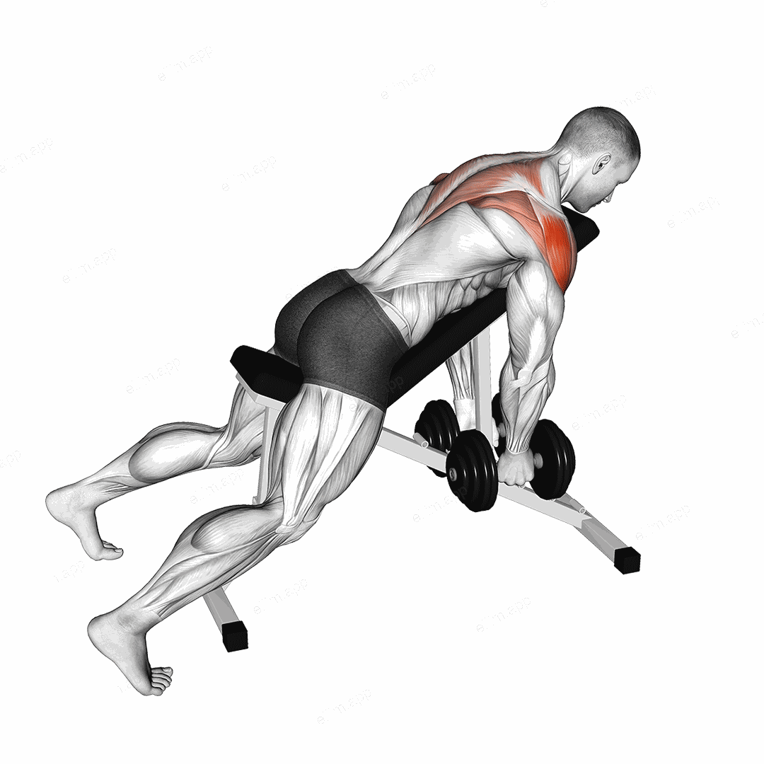 Dumbbell Incline Rear Lateral Raise exercise targeting Shoulders and Deltoid Lateral