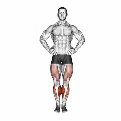 Circles Knee Stretch exercise targeting Calves and Gastrocnemius