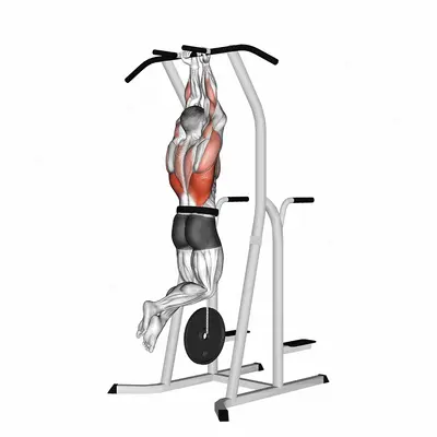 Weighted Close-Grip Chin-up on Dip Cage exercise targeting Back
