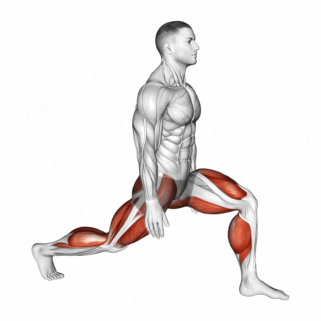 Low Lunge exercise targeting Stretching
