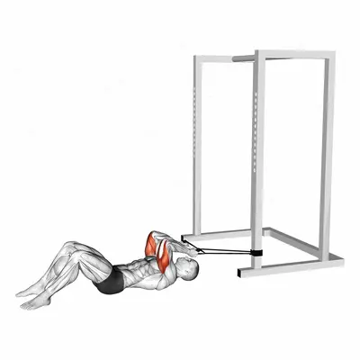 Band Lying Reverse Grip Pressdown exercise targeting Upper Arms