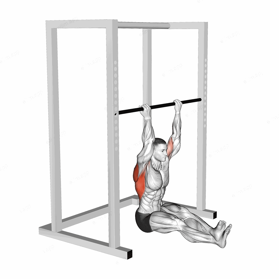 Seated Chin up exercise targeting Back