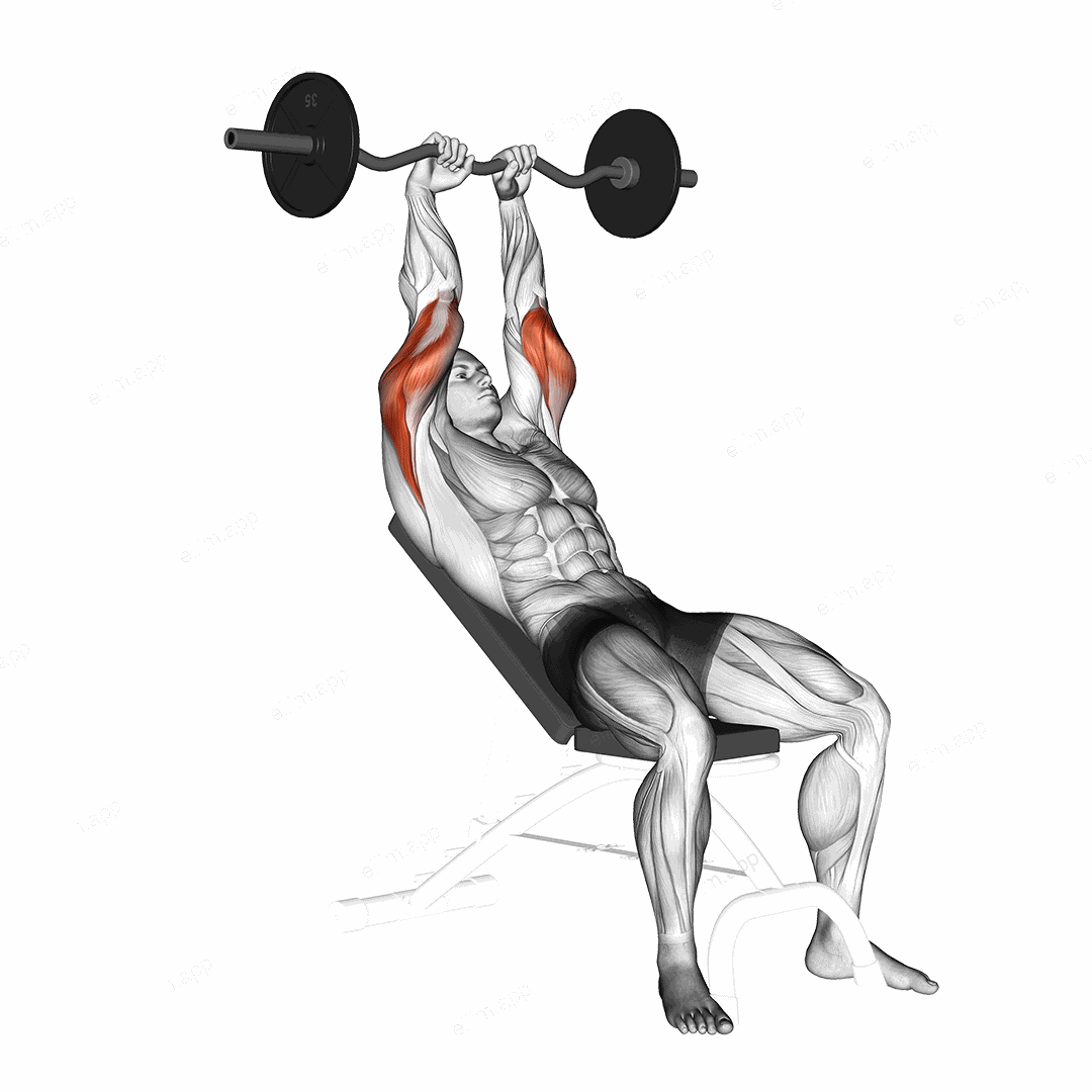 EZ Barbell Incline Triceps Extension exercise targeting Upper Arms and Triceps Brachii