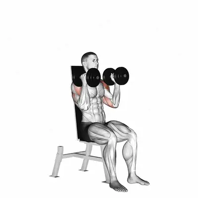 Dumbbell Seated Alternate Press exercise targeting Shoulders and Deltoid Anterior