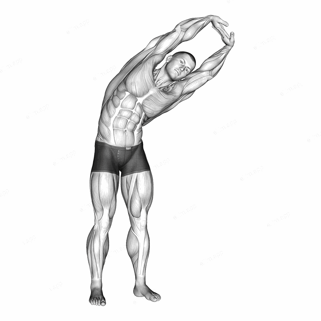 Standing Side Stretch exercise targeting Back and Waist