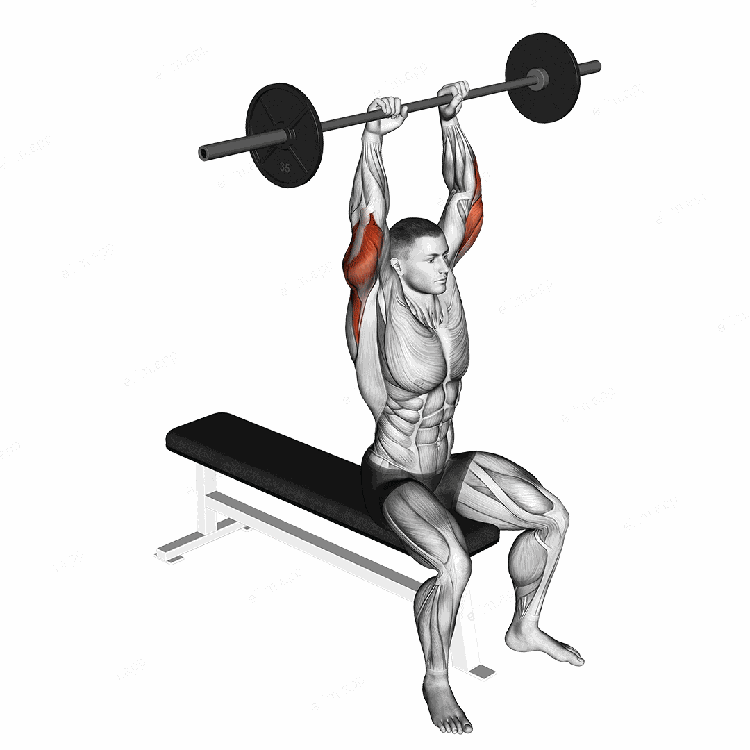 Barbell Seated Overhead Triceps Extension exercise targeting Upper Arms and Triceps Brachii