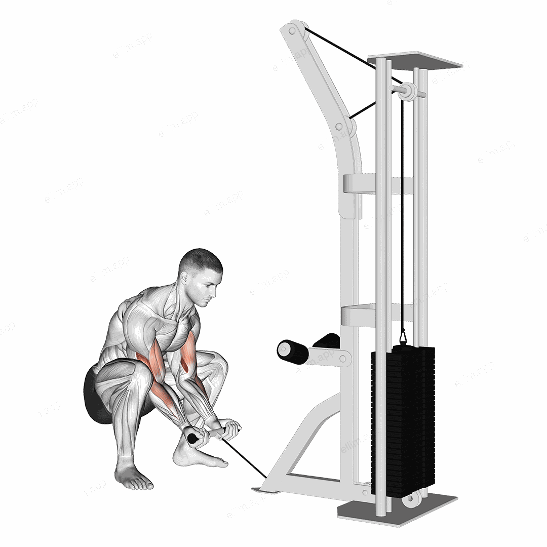 Cable Squatting Curl exercise targeting Upper Arms and Brachialis