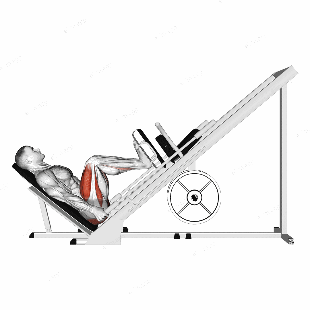 Sled 45ø Leg Press (Side POV) exercise targeting Thighs and Gluteus Maximus