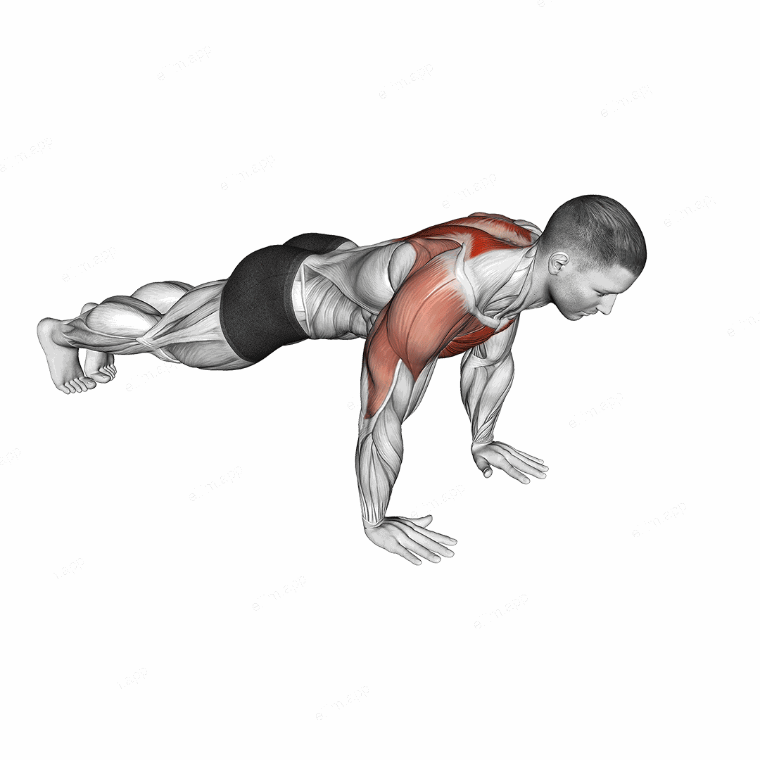 Lay Down Push-up exercise targeting Chest