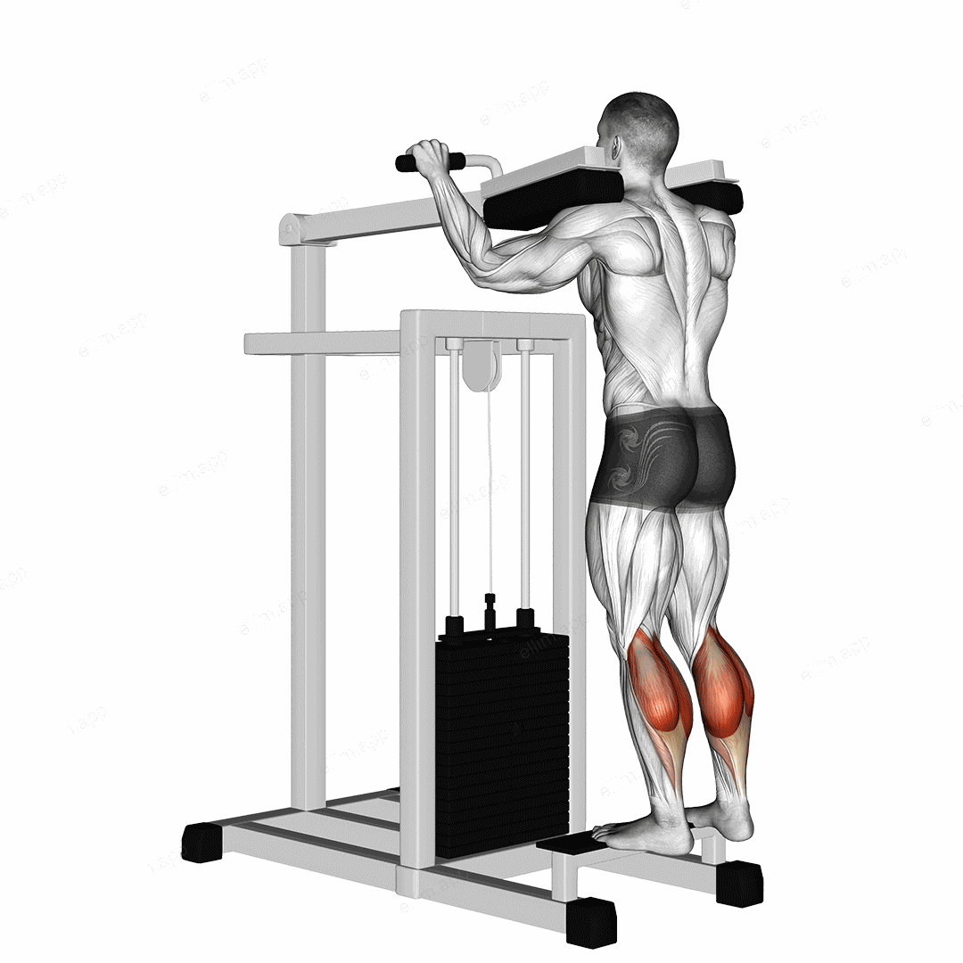 Lever Standing Calf Raise exercise targeting Calves and Gastrocnemius