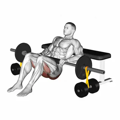 Barbell Hip Thrust with Resistance Band exercise targeting Hips