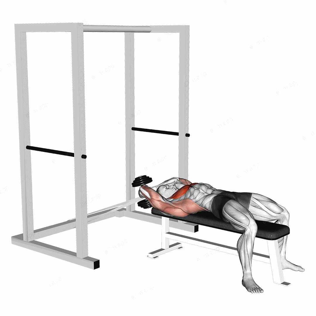 Dumbbell Straight Arm Pullover (with hanging band technique) exercise targeting Chest and Pectoralis Major Sternal Head