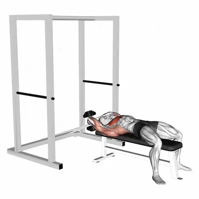 Dumbbell Straight Arm Pullover (with hanging band technique) exercise targeting Chest and Pectoralis Major Sternal Head