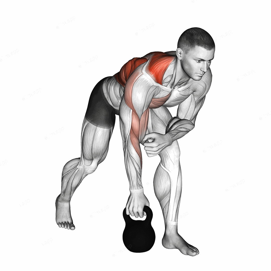 Kettlebell One Arm Row exercise targeting Back and Infraspinatus