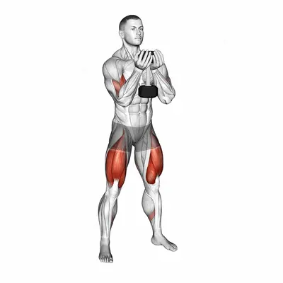 Dumbbell Goblet Squat and Biceps Curl exercise targeting Thighs