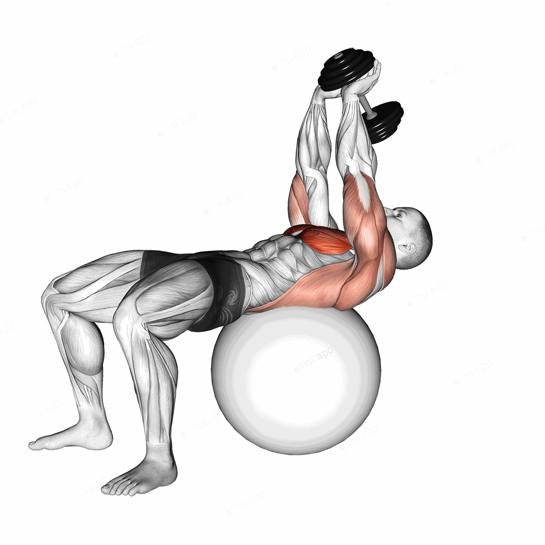 Dumbbell Lying Pullover on Exercise Ball exercise targeting Chest and Pectoralis Major Sternal Head