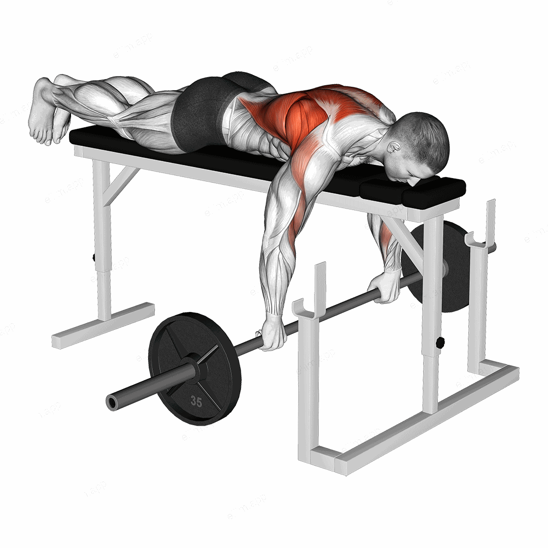 Barbell Lying Row on Rack exercise targeting Back and Infraspinatus