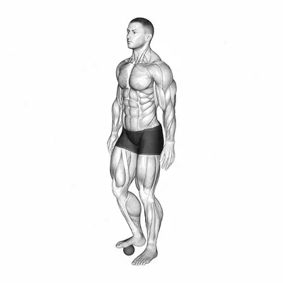 Roll Ball Foot exercise targeting Calves