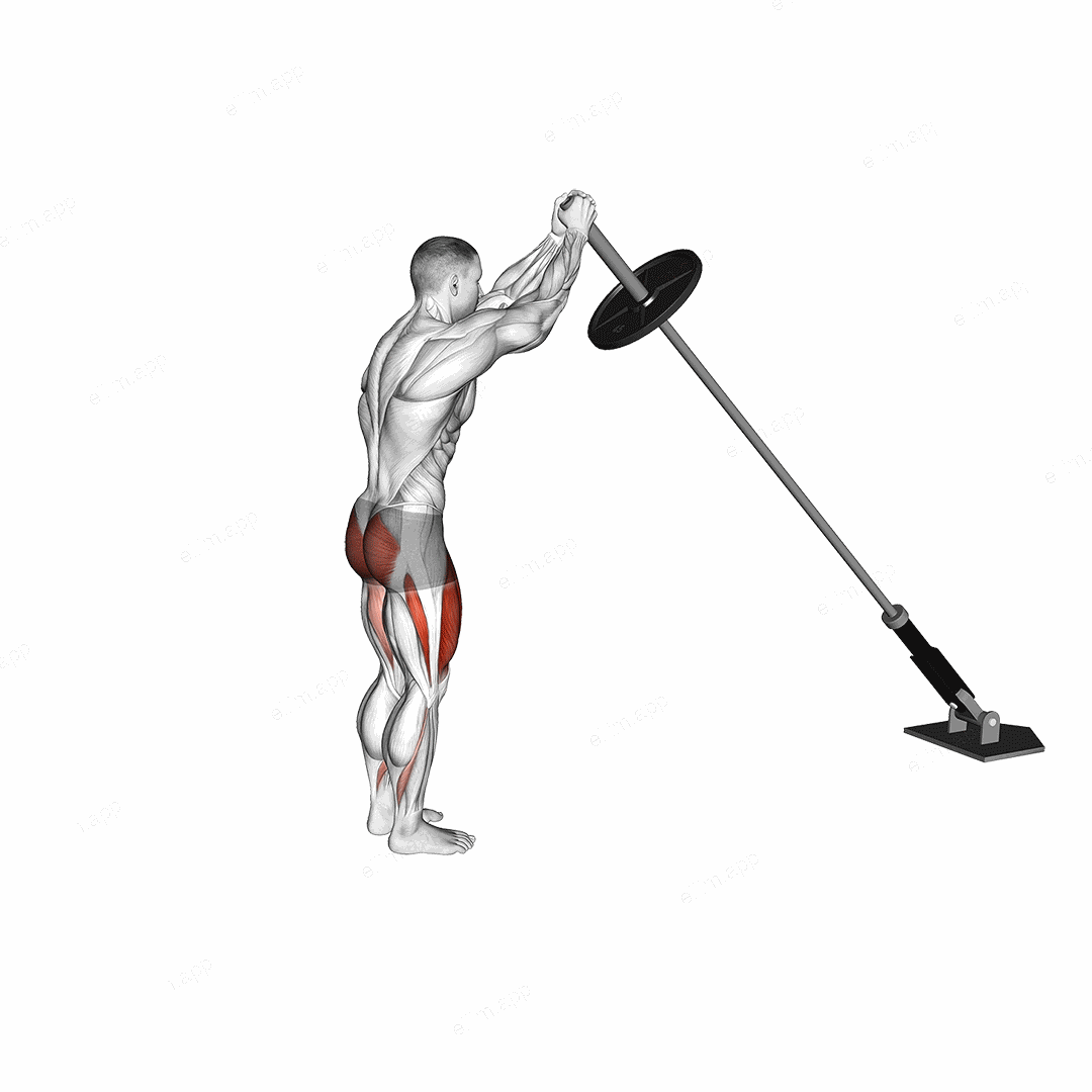 Landmine Overhead Rear Lunge exercise targeting Thighs