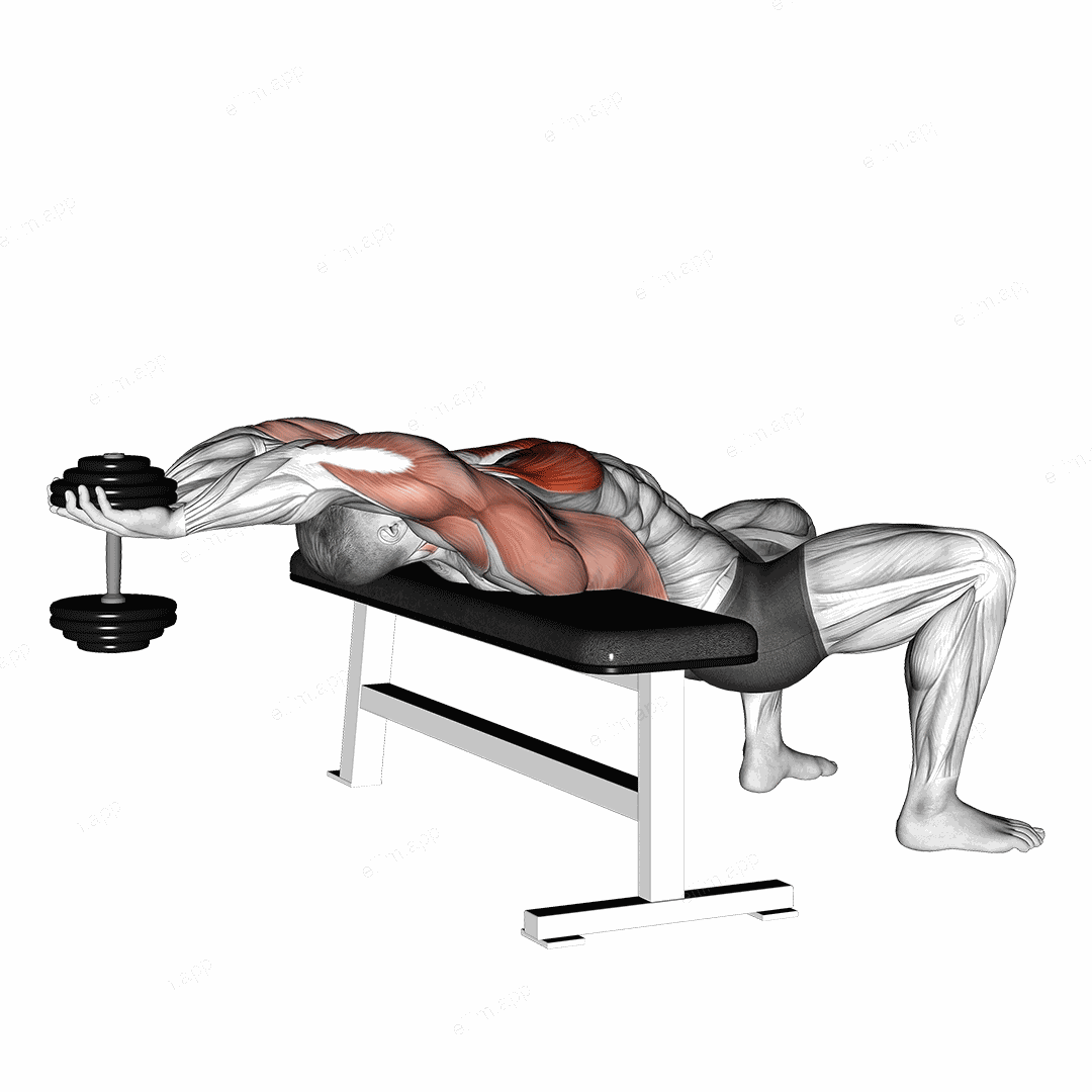 Dumbbell Straight Arm Pullover exercise targeting Chest and Pectoralis Major Sternal Head