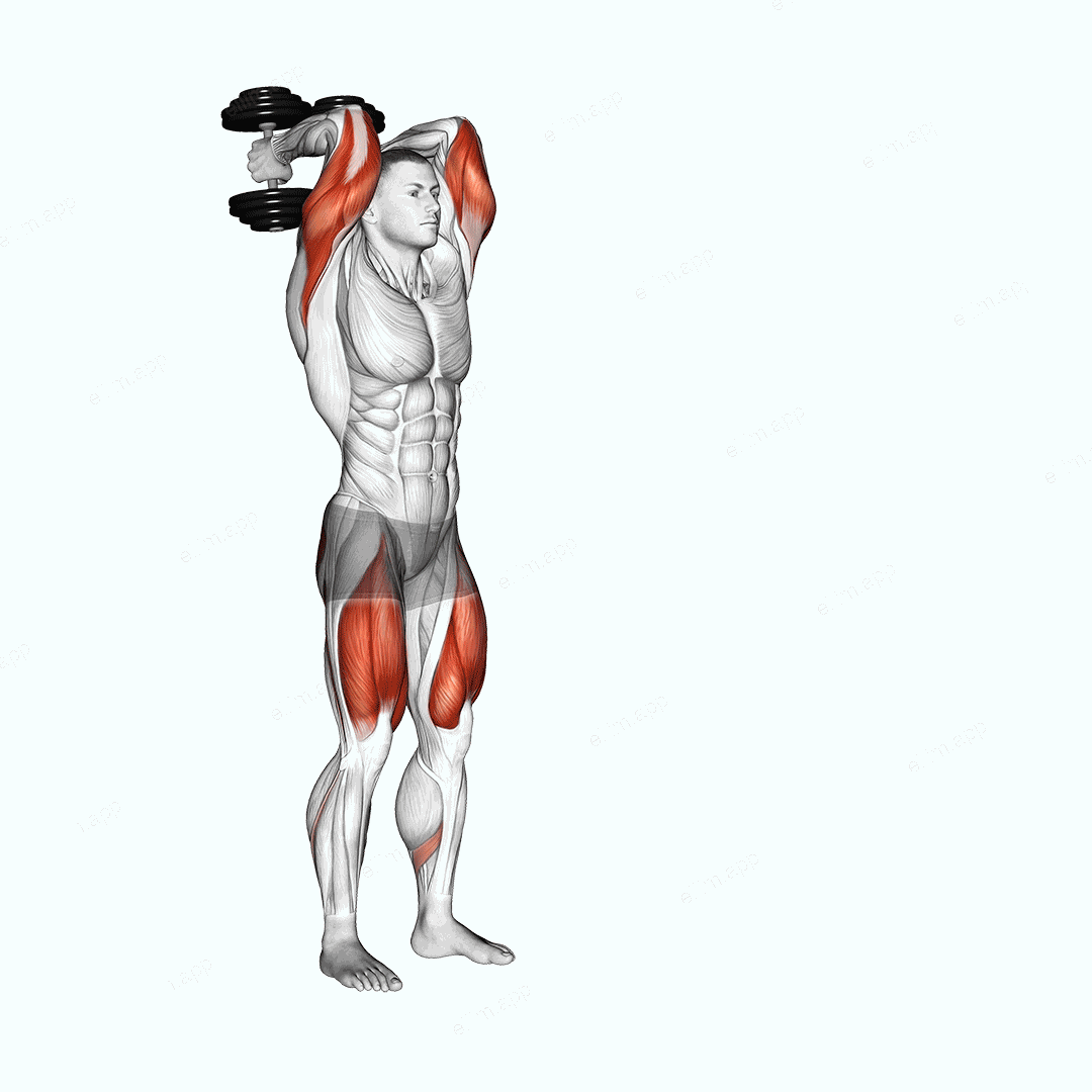 Dumbbell Forward Lunge Triceps Extension exercise targeting Upper Arms