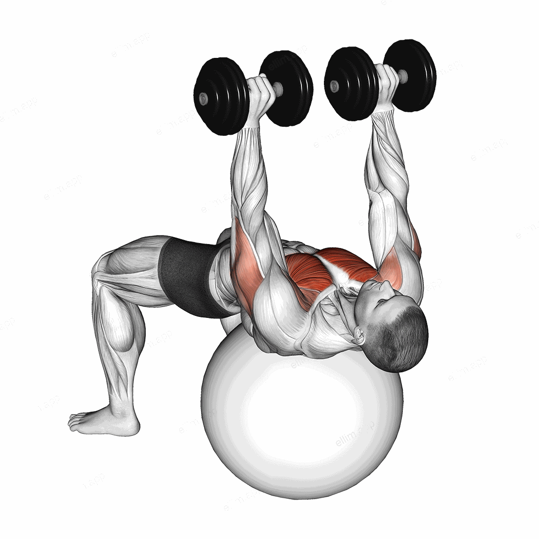 Dumbbell Alternate Chest Press on Stability Ball exercise targeting Chest
