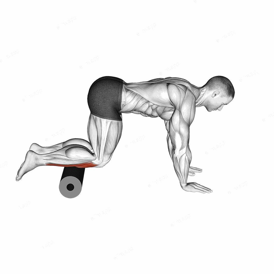 Roll Tibialis Anterior exercise targeting Calves