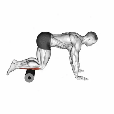 Roll Tibialis Anterior exercise targeting Calves