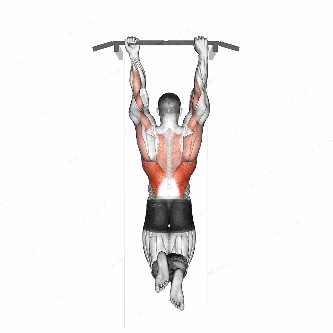 Mixed Grip Chin up exercise targeting Back