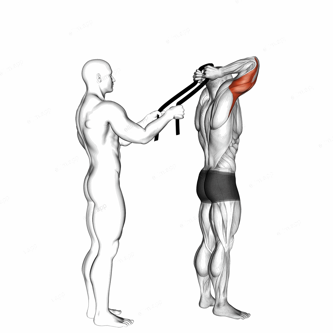 Assisted Standing Triceps Extension (with towel) exercise targeting Upper Arms and Triceps Brachii