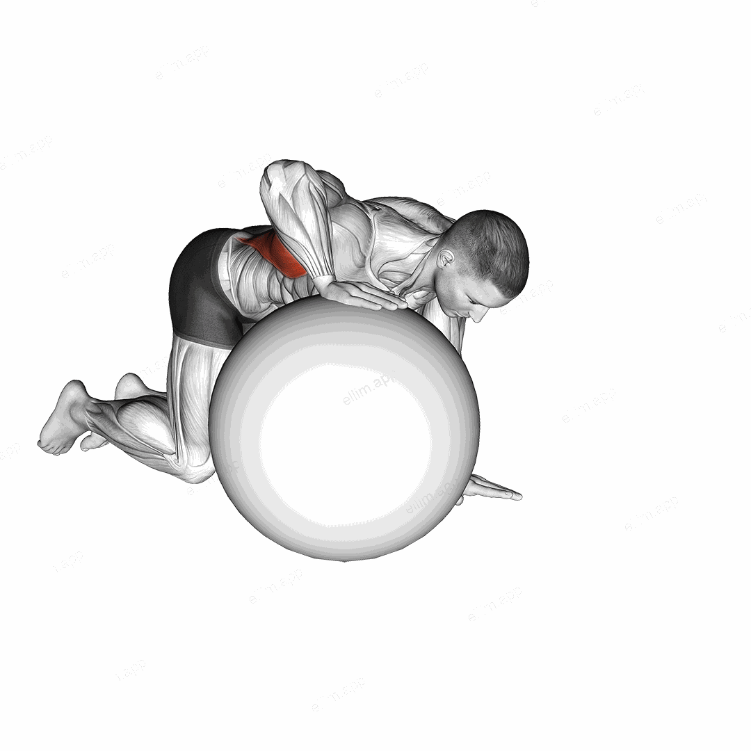 Exercise Ball Lat Stretch exercise targeting Back and Latissimus Dorsi