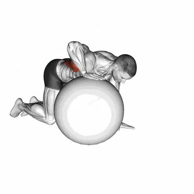 Exercise Ball Lat Stretch exercise targeting Back and Latissimus Dorsi