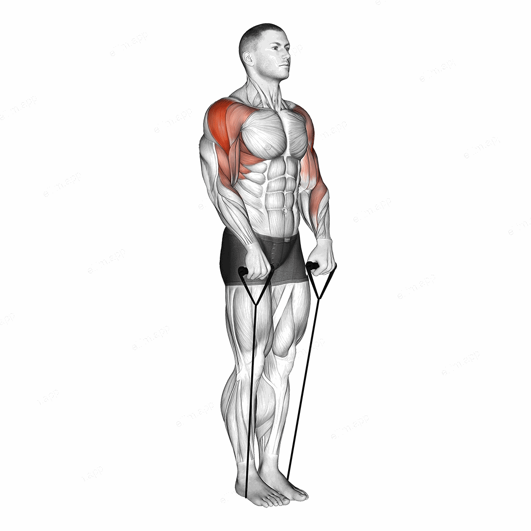 Band Upright Row (Under two feet) exercise targeting Shoulders and Deltoid Lateral