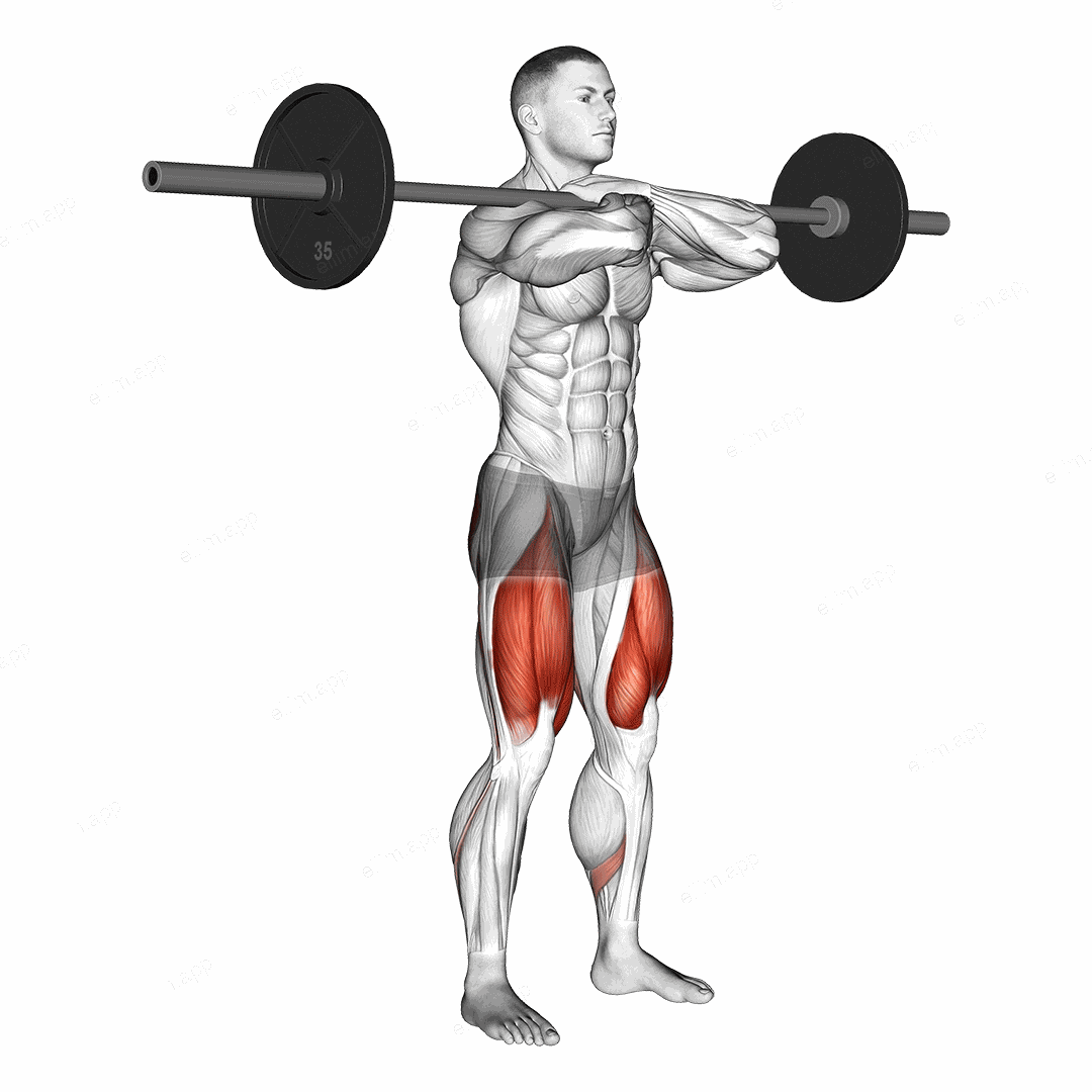 Barbell Front Squat exercise targeting Hips and Gluteus Maximus