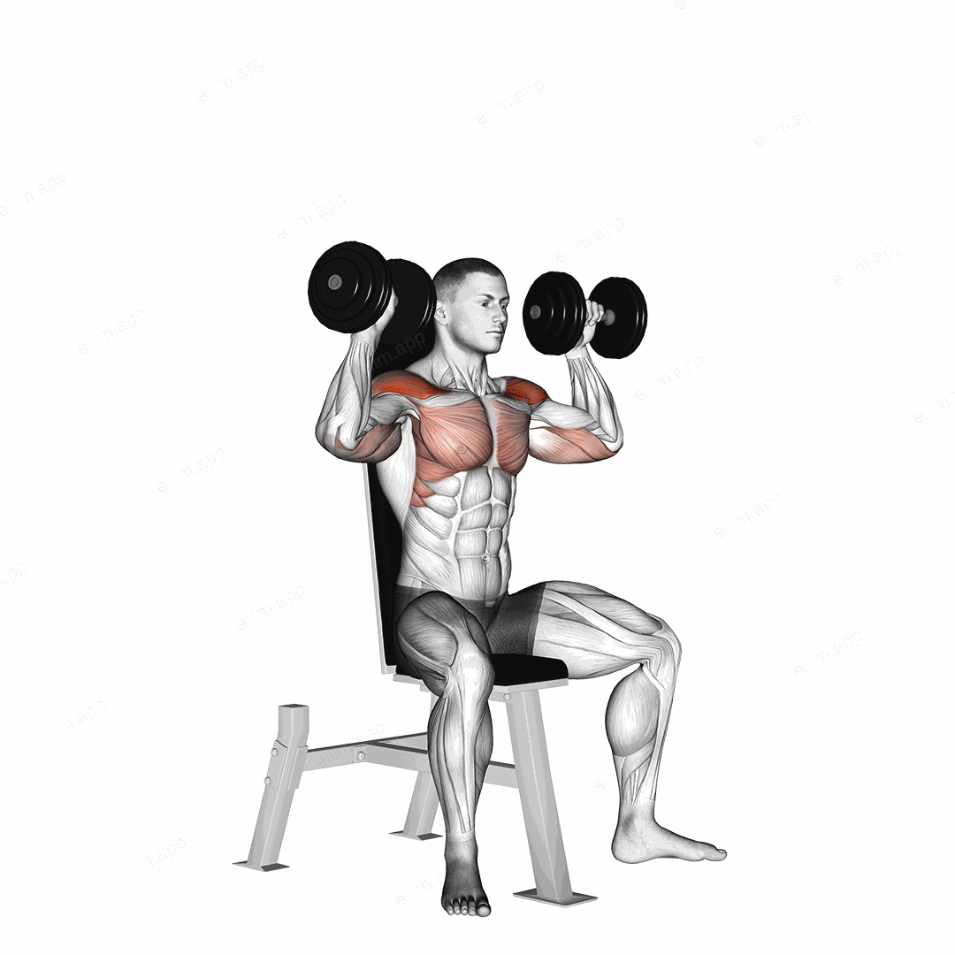 Dumbbell Seated Shoulder Press exercise targeting Shoulders and Deltoid Anterior